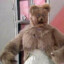 Capt. Bungle