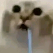 2bir_coolez Steam avatar