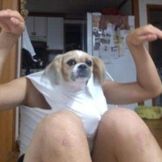 精神病人思路广