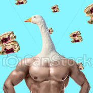 A Duckish Man's Avatar