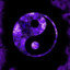 Novactic