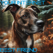 Your Internet Best Friend