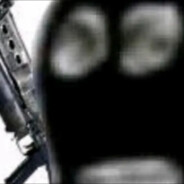 你猜我野牛到哪了？