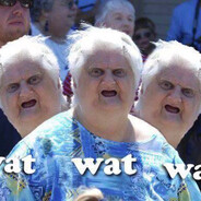 Шпинкотлет