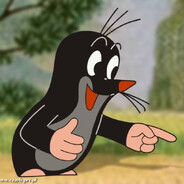 swierczow reprezentant