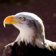 Grunthos - steam id 76561197961396835