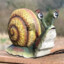 garden of snail