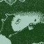 marjan
