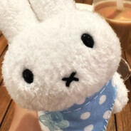 椰椰椰奶冻大王