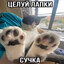 цыган