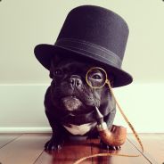 EL BUNKO