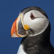 ArcanePuffin
