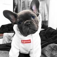 ♛MiKeeelll♛