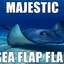 Sea flap flap