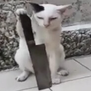 m8tt8o