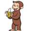 Curious George (real)