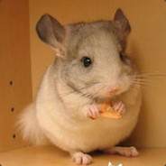 王继堂给大家拜年