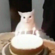 кот и торт