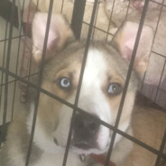 月入2100每天笑嘻嘻