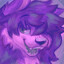 shibe