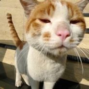 恶魔丶微笑  55701