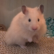 bartholomew