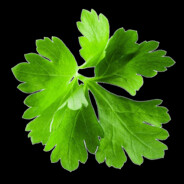 Dr.Parsley