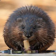 Piżmak ( ͡° ͜ʖ ͡°)