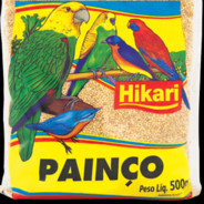 paiço (se pisca ja era)