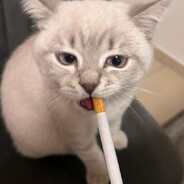 'wdakjmfwapsodgシ - steam id 76561199553348807