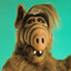 ALF