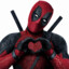 Mr Pool