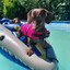 SwimminSteve