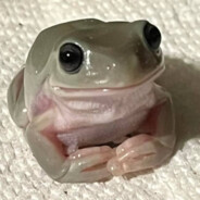 Frognificent