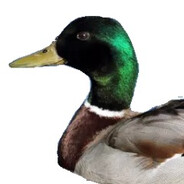 JaSaTo avatar