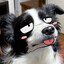 Buppy!