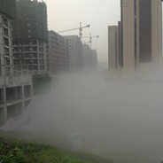 狗杂种盗老子号