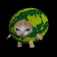 Cat in Melon