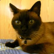 C@rTH@g0 - steam id 76561197971707265