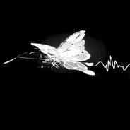 づDarkzzzIづ avatar