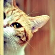 mag` - steam id 76561197961855140
