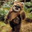 EwokOil