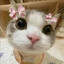 ! Lotty