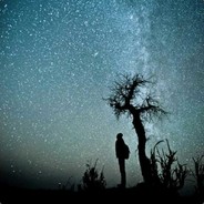 小猪猪喜欢白嫖