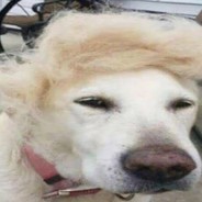 Жими Джонне Сымба