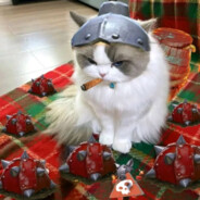 Дальше бога нет