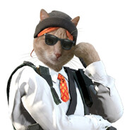 Don_Podgon