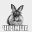 Дима Дезоморфин