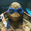 TMNT Leonardo