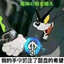 内向的人从不外设